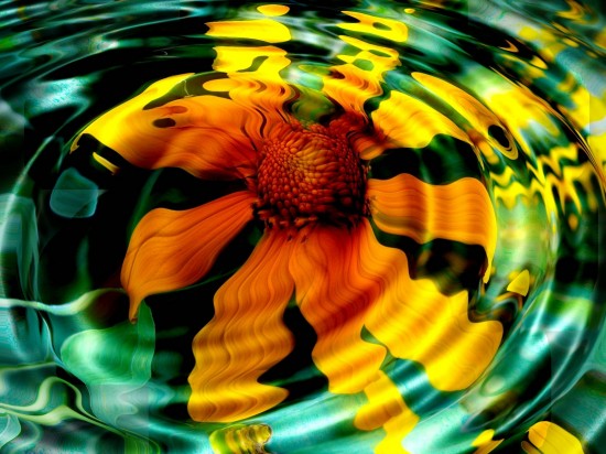 Flower underwater