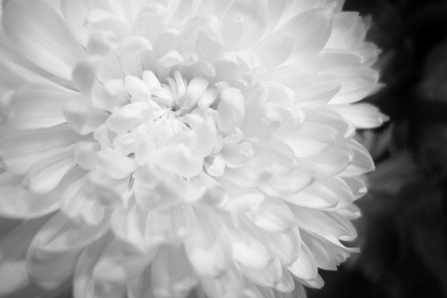 Big White