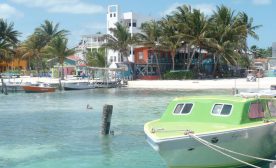 Caye Shore