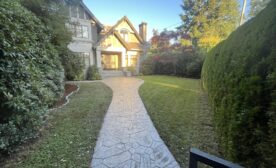 Cedar Hedge