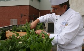 Chef Stefan Mueller