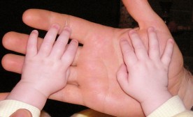 hands