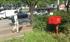 The Red Mailbox