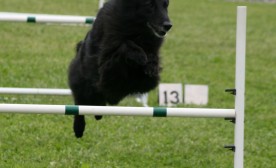Jumping for joy!