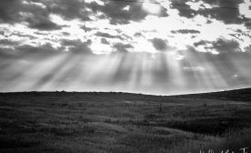 In the foothills