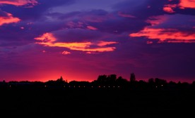 Magenta Dusk
