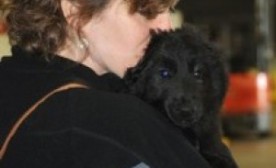 Baby Rizzo