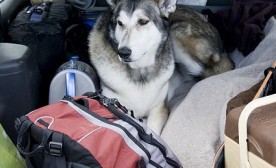 All Packed