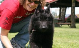 Rizzo Puppy