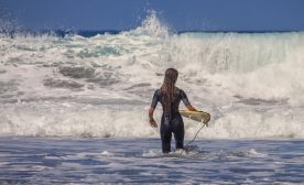 Surfer
