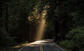 The road less traveled