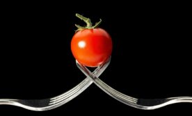 Tomato