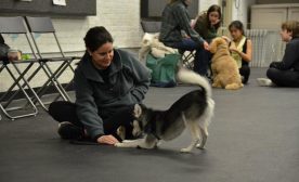 Training1