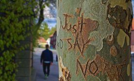 Just Say No