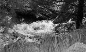 White water