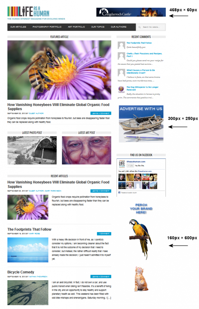 Ad Sizes